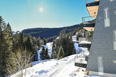 Pec pod Sněžkou - Trutnov | Predaj, Byt, 4-izbový, 148 m²