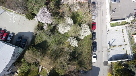 Uhrova, Nové Mesto - Bratislava III | Prodej, Pozemek, 719 m²