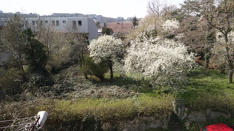 Uhrova, Nové Mesto - Bratislava III | Prodej, Pozemek, 719 m²