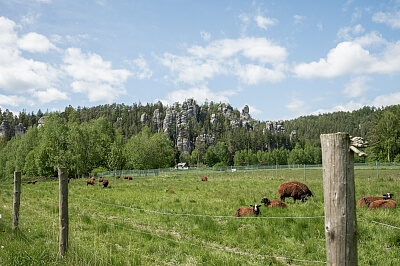 Adršpach - Náchod | Prodej, Pozemek, 4 301 m²