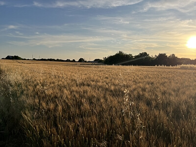 Višňová, Trnava - Trnava | Prodej, Pozemek, 29 650 m²