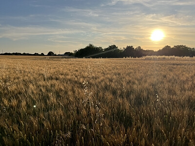 Višňová, Trnava - Trnava | Prodej, Pozemek, 29 650 m²