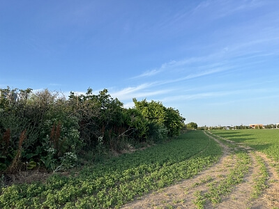 Višňová, Trnava - Trnava | Prodej, Pozemek, 29 650 m²