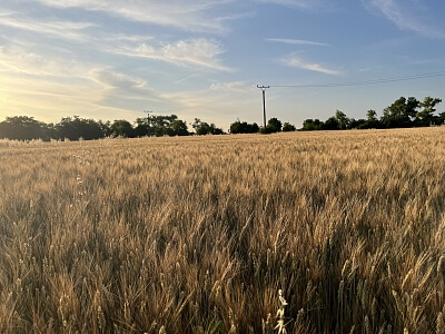 Višňová, Trnava - Trnava | Prodej, Pozemek, 29 650 m²