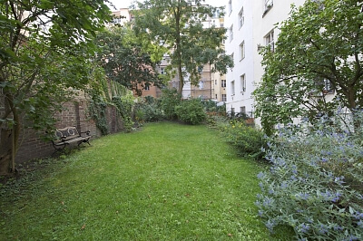 Baranova, Žižkov - Praha 3 | Pronájem, Byt, 3+kk, 109 m²