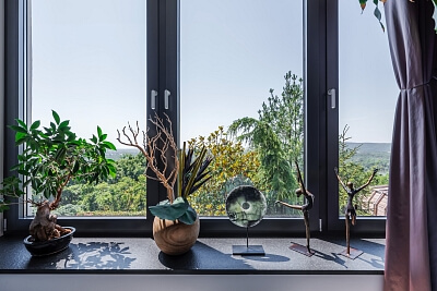 Fialkové údolie, Bratislava - Bratislava I | Prodej, Rodinný dům, 8+kk, 632 m²