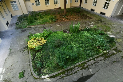 Ostrovní, Nové Město - Praha 1 | Pronájem, Byt, 2+kk, 53 m²