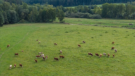 Vyšší Brod - Český Krumlov | Prodej, Pozemek, 1 445 m²