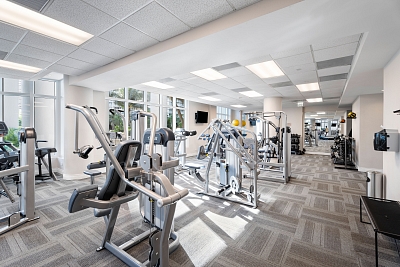 USA, Florida - Miami | Prodej, Byt, 4+kk, 387 m²