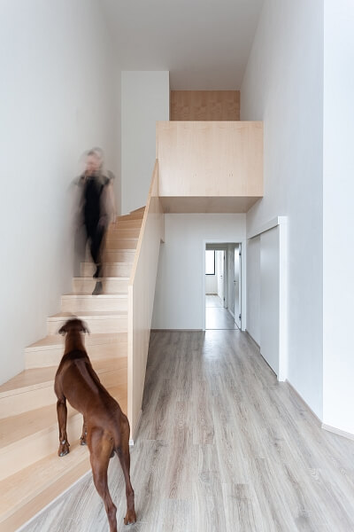 Mlýnská, Brno - střed - Brno-město | Prodej, Rezidenční projekt