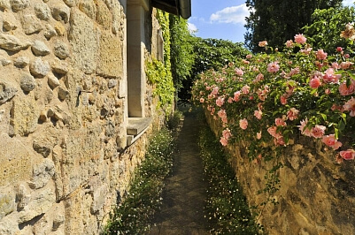 Francie, Nová Akvitánie - Libourne | Prodej, Rodinný dům, 6+1, 500 m²