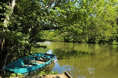 Francie, Nová Akvitánie - Libourne | Prodej, Rodinný dům, 6+1, 500 m²