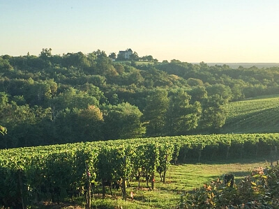 Francie, Nová Akvitánie - Bordeaux | Prodej, Rodinný dům, 7+1, 637 m²