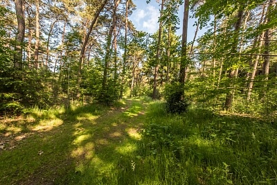 Nizozemsko, Severní Holandsko, Biltseweg 7 - Amsterdam | Prodej, Rodinný dům, 8+1, 2 163 m²