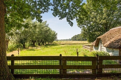 Nizozemsko, Severní Holandsko, Nieuw-Loosdrechtsedijk 8 - Loosdrecht | Prodej, Rodinný dům, 9+1, 1 233 m²