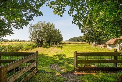 Nizozemsko, Severní Holandsko, Nieuw-Loosdrechtsedijk 8 - Loosdrecht | Prodej, Rodinný dům, 9+1, 1 233 m²