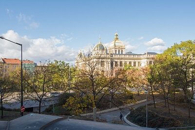 Čelakovského sady, Vinohrady - Praha 2 | Prodej, Byt, 3+1, 191 m²