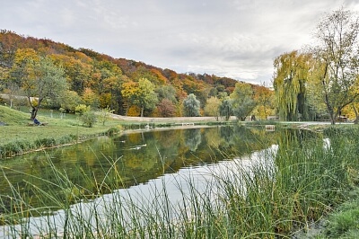 Libocká, Liboc - Praha 6 | Prodej, Rodinný dům, 5+kk, 434 m²