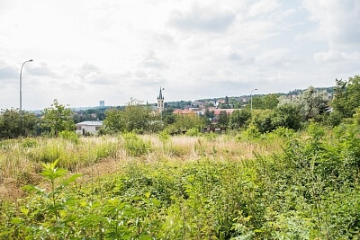 Tuchoměřická, Nebušice - Praha 6 | Prodej, Pozemek, 701 m²