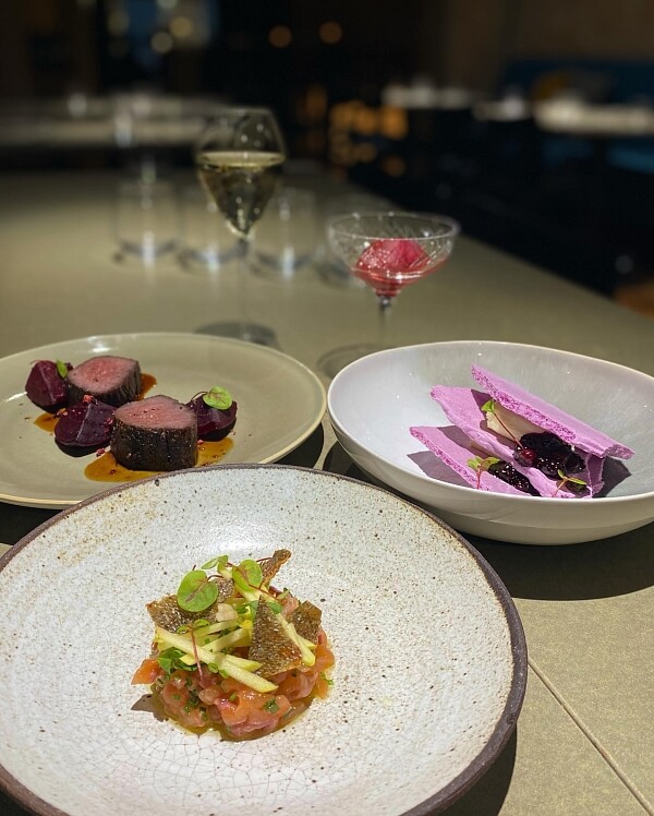 Element Svoboda Williams