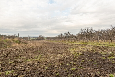 Štúrovo, Nové Zámky - Štúrovo | Predaj, Pozemok, 22 098 m²