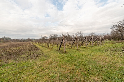 Štúrovo, Nové Zámky - Štúrovo | Predaj, Pozemok, 22 098 m²