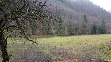 Donovaly - Banská Bystrica | Predaj, Pozemok, 6 048 m²