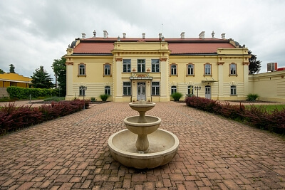 Sasinkovo - Hlohovec | Predaj, Historický objekt, 900 m²