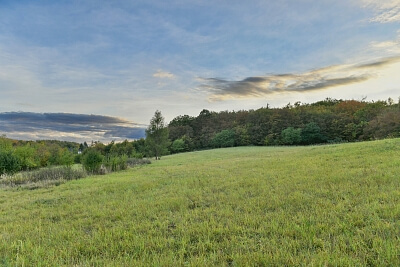 Kytínská, Mníšek pod Brdy - Praha-západ | Sale, Land, 10 352 m²
