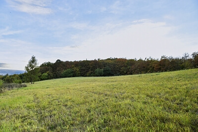 Kytínská, Mníšek pod Brdy - Praha-západ | Sale, Land, 10 352 m²