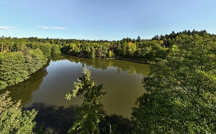 Uzeničky - Strakonice | Prodej, Pozemek, 71 439 m²