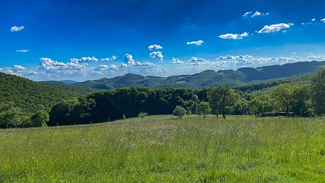 Nové Mesto nad Váhom - Bošáca | Predaj, Rodinný dom, 5-izbový, 165 m²
