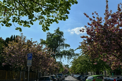 Dykova, Vinohrady - Praha 10 | Pronájem, Byt, 5+kk, 195 m²