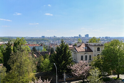 Dykova, Vinohrady - Praha 10 | Pronájem, Byt, 5+kk, 195 m²