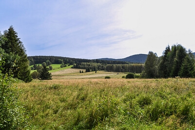 Borová Lada - Prachatice | Prodej, Pozemek, 5 184 m²