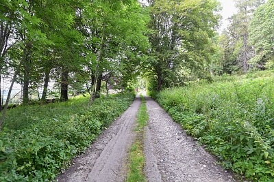 Borová Lada - Prachatice | Prodej, Pozemek, 5 184 m²