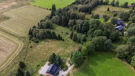 Borová Lada - Prachatice | Prodej, Pozemek, 5 184 m²