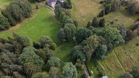 Borová Lada - Prachatice | Prodej, Pozemek, 5 184 m²